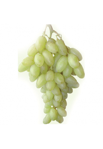 Les Raisins Bio | Pronatura