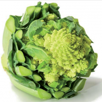 <p class="nom">Chou romanesco</p><p class="description">Il se prépare comme son cousin le chou-fleur, la forme pyramidale de ses fleurettes est idéale pour des poêlées gourmandes et originales.</p><p class="disponibilite">septembre à décembre.</p>