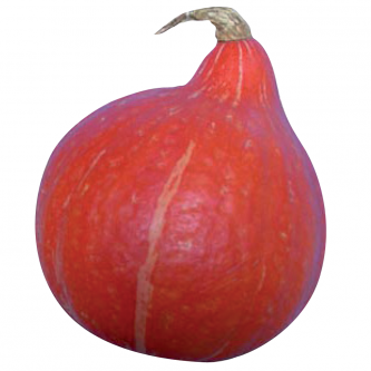 <p class="nom">Potimarron</p><p class="description">600g à 2kg. Saveur : sucrée de châtaigne. Cuisine : purée/potage, dessert.</p><p class="disponibilite">juillet à janvier</p>