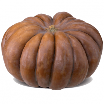 <p class="nom">Muscade</p><p class="description">2 à 10kg et plus. Saveur : légèrement sucrée et musquée. Cuisine : purée/potage, dessert.</p><p class="disponibilite">septembre à mars</p>