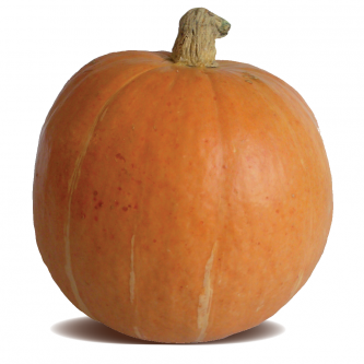 <p class="nom">Citrouille</p><p class="description">2 à 12kg. Saveur : beurre et de châtaigne. Cuisine : purée/potage, four, rissolée, dessert.</p><p class="disponibilite">septembre à mars</p>