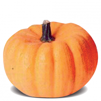 <p class="nom">Jack Be Little</p><p class="description">100 à 400g. Saveur : sucrée, goût de châtaigne. Cuisine : farcie.</p><p class="disponibilite">septembre à décembre</p>