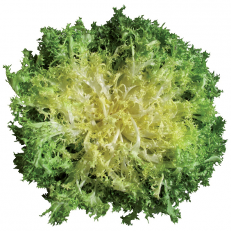 <p class="nom">Chicorée frisée</p><p class="description">Croquant et Amère</p>