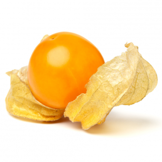 <p class="nom">Le physalis</p><p class="description">Pourquoi on l’aime? Plébiscité pour ses qualités décoratives, le physalis n’en demeure pas moins un fruit gorgé de jus et de haute qualité gustative. Délicieux nature, il peut aussi être poêlé, compoté, épicé, chocolaté…</p>