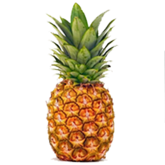 <p class="nom">L’ananas Victoria</p><p class="description">Pourquoi on l’aime? Pour sa saveur très fruitée et parfumée. Et aussi pour son côté festif, car il n’est disponible qu’en fin d’année.</p>