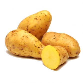 <p class="nom">Allians</p><p class="description">Pomme de terre à chair ferme. À cuisiner sous toutes les</p>