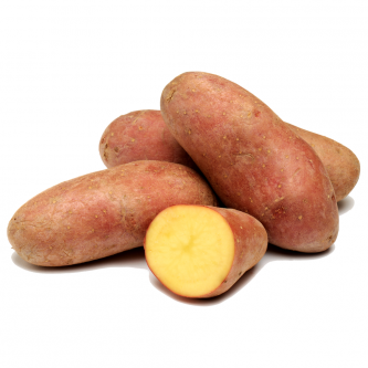 <p class="nom">Chérie</p><p class="description">Pomme de terre à chair ferme. Se distingue par sa peau rouge et lisse, un régal en salade.</p><p class="specificite">vapeur, eau, rissolées, sautées, gratin, ragout</p>
