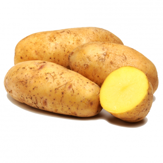 <p class="nom">Ditta</p><p class="description">Pomme de terre à chair ferme. Parfaite sautée avec d’autres légumes.</p><p class="specificite">vapeur, eau, rissolées, sautées, gratin, ragout</p>