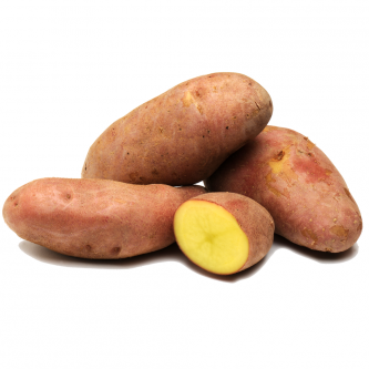 <p class="nom">Franceline</p><p class="description">Pomme de terre à chair ferme. Texture très tendre, accompagnement parfait d’un poisson.</p><p class="specificite">vapeur, eau, rissolées, sautées, gratin, ragout</p>