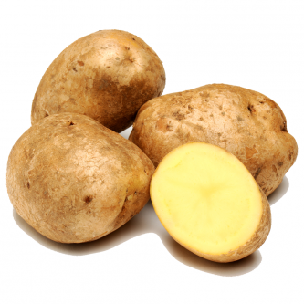 <p class="nom">Bintje</p><p class="description">Pomme de terre à chair farineuse. Bonne en purée, elle reste la reine des frites !!</p><p class="specificite">four, soupe, purée, frites</p>