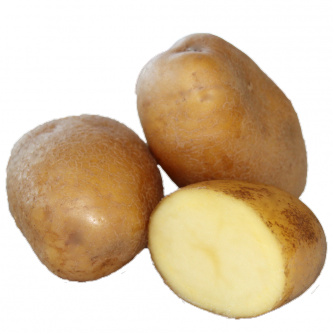 <p class="nom">Agria</p><p class="description">Pomme de terre à chair fondante. Idéale pour les frites</p><p class="specificite">frites, rissolées, sautées, gratin, ragout, four, purée</p>