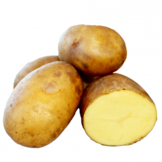<p class="nom">Maiwen</p><p class="description">Pomme de terre à chair fondante. Convient à diverses utilisations: four, purées, potages</p><p class="specificite">four, soupe, potage, purée</p>