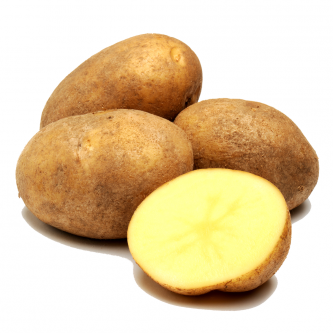 <p class="nom">Safrane</p><p class="description">Pomme de terre à chair fondante. Excellent goût et tenue à la cuisson.</p><p class="specificite">four, soupe, potage, purée</p>