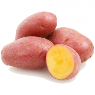 <p class="nom">Rosabelle</p><p class="description">Pomme de terre à chair fondante. Cette variété demi précoce est faite pour les gratins.</p><p class="specificite">four, soupe, potage, purée</p>