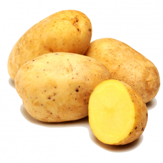 <p class="nom">Safrane</p><p class="description">Pomme de terre à chair fondante. Excellent goût et tenue à la cuisson.</p><p class="specificite">four, soupe, potage, purée</p>