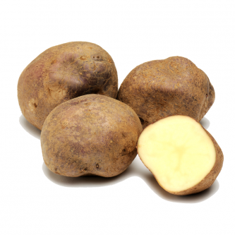 <p class="nom">Bleu d’Auvergne</p><p class="description">Variétés anciennes. Toute ronde, sa chair est parfaite en purée.</p><p class="specificite">soupe, purée</p>
