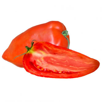 <p class="nom">La Cornue des Andes</p><p class="description">Sa caractéristique : Très parfumée, cette tomate est l’une des plus fermes des tomates anciennes. Ce qui ne signifie pas qu’elle n’est pas mûre, au contraire son goût est très prononcé.</p>