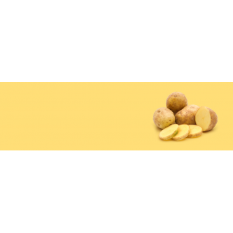 Pommes de Terre Bio