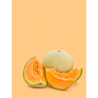 Variétés Melons et Pastèques Bio