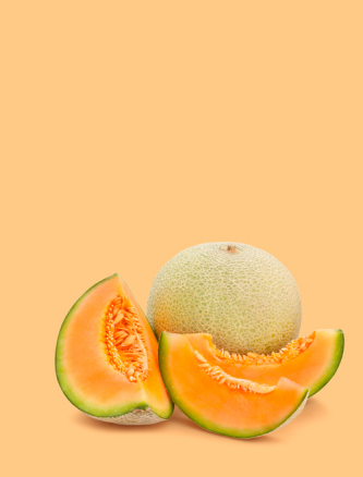 Melons et Pastèques Bio