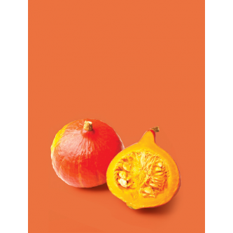 Variétés Courges Bio
