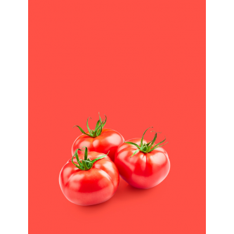 Variétés Tomates Bio