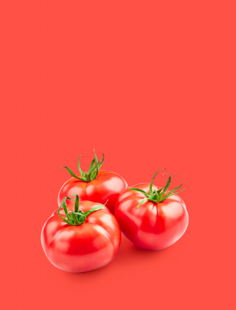 Tomates Bio