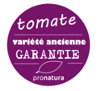 Tomate ancienne