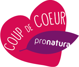 coup-de-coeur